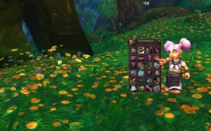 Gnome with open bags in Warcraft